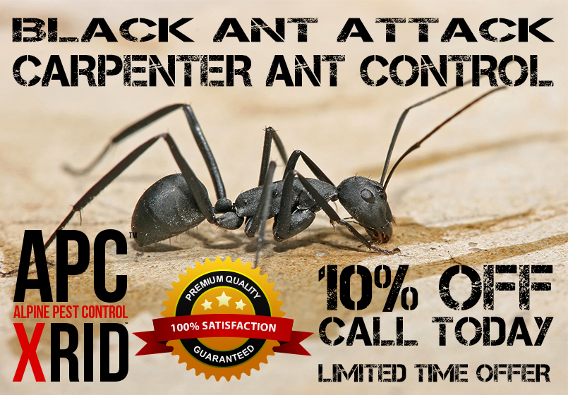 ALPINE PEST CONTROL