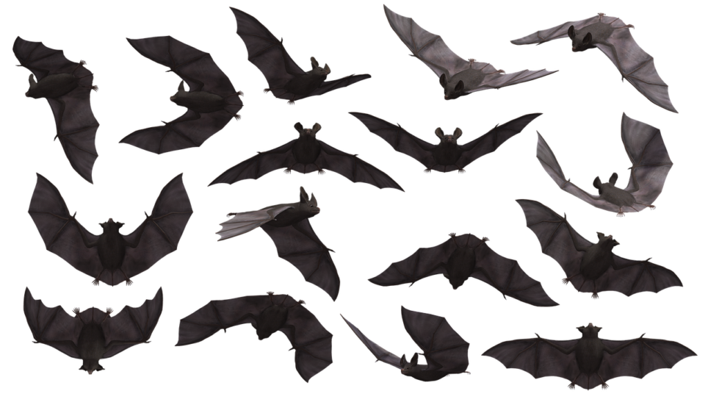 Bats In Flight