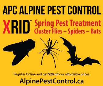 APC ALPINE PEST CONTROL Spider Cluster Fly Bat 2014