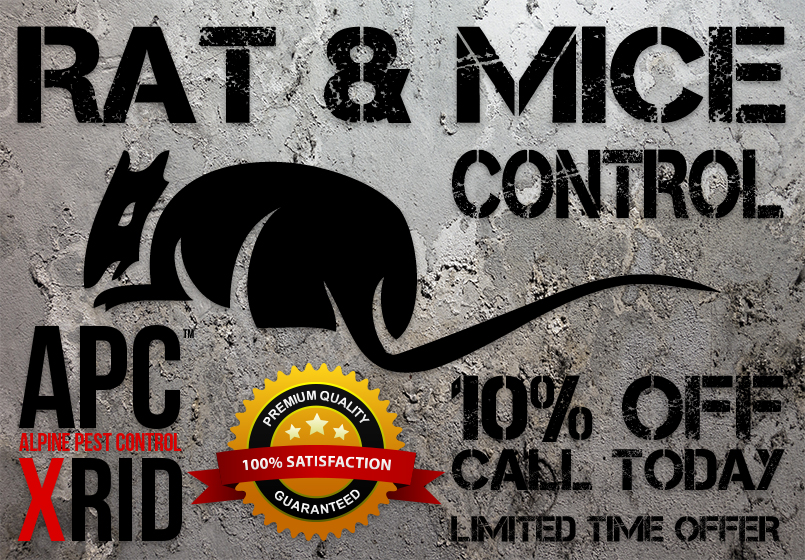 APC-ALPINE-PEST-CONTROL-SEWER-RAT-AND-MICE-TROUBLE-XRID-PEST-CONTROL