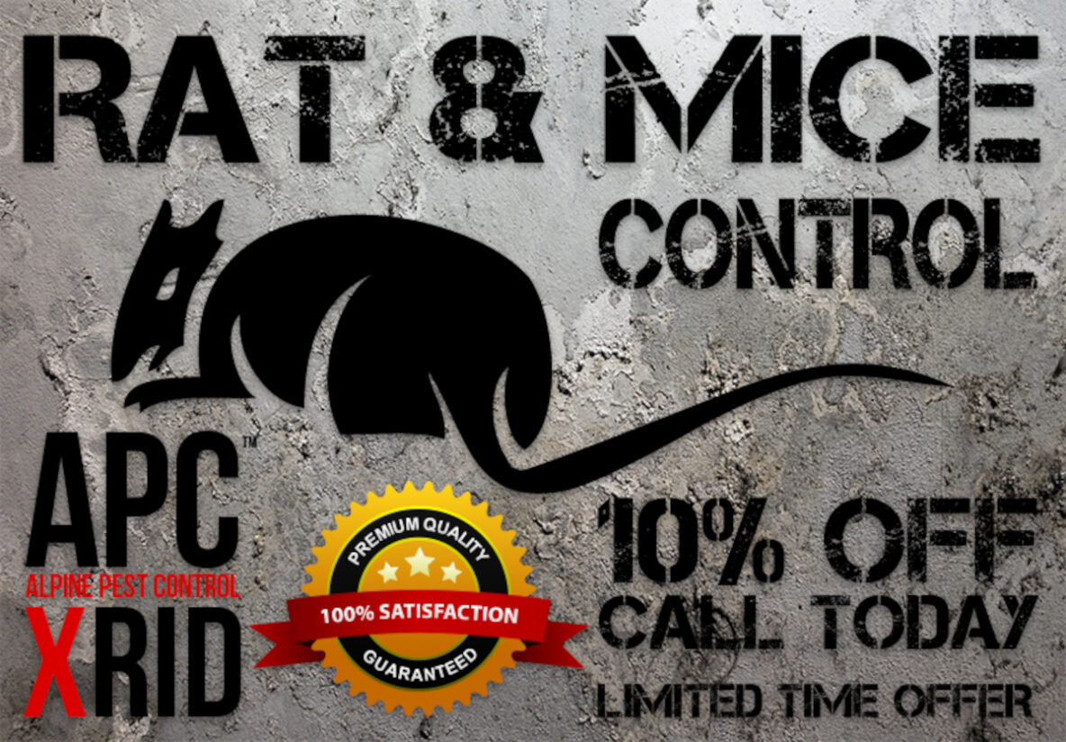 NIAGARA-PEST-CONTROL-APC-ALPINE-PEST-CONTROL-SEWER-RAT-AND-MICE-TROUBLE-XRID-PEST-CONTROL