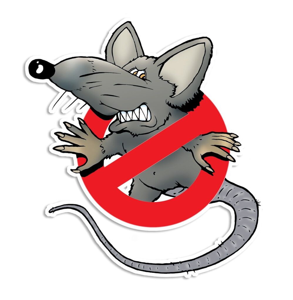 Residential Rat Infestation APC-ALPINE-PEST-CONTROL-SEWER-RAT-AND-MICE-TROUBLE-XRID-PEST-CONTROL